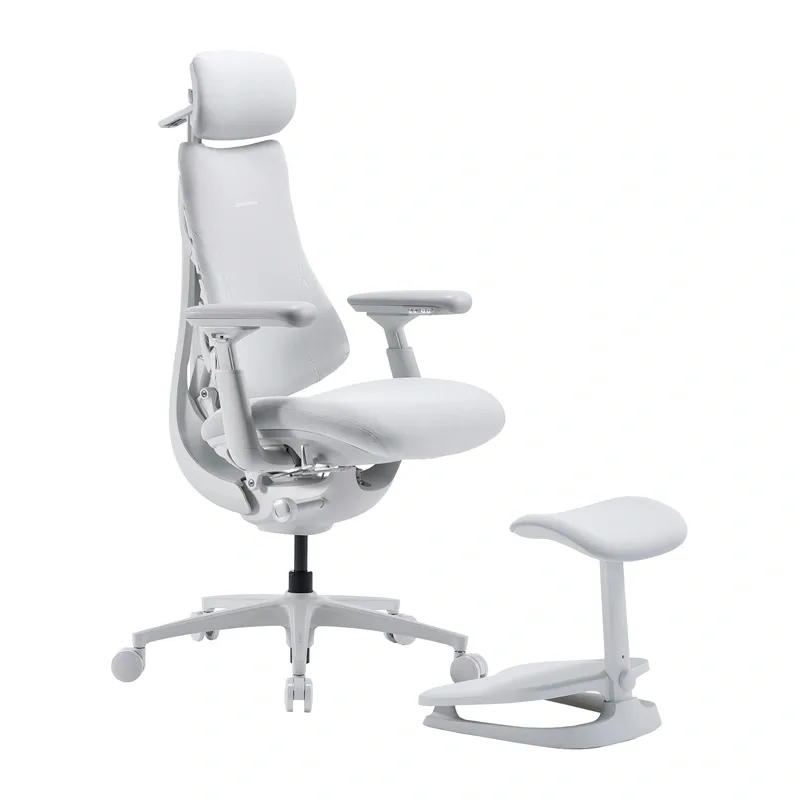 LiberNovo Omni Pro 45 cm Ergonomic Chair (White)